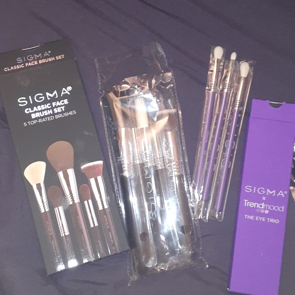 Sigma brushes - Picture 2 of 2